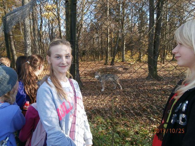 25.10.2013_WYCIECZKA DO BIAŁOWIEŻY44.JPG